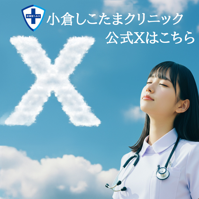 公式X